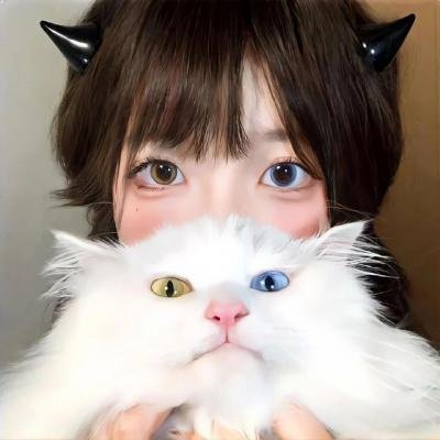 诈欺猎人