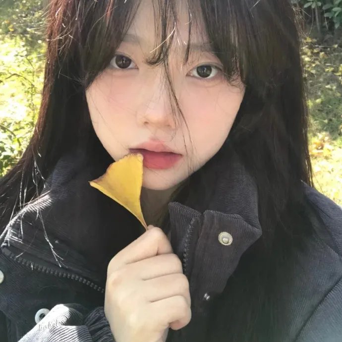 非真爱情勿论婚